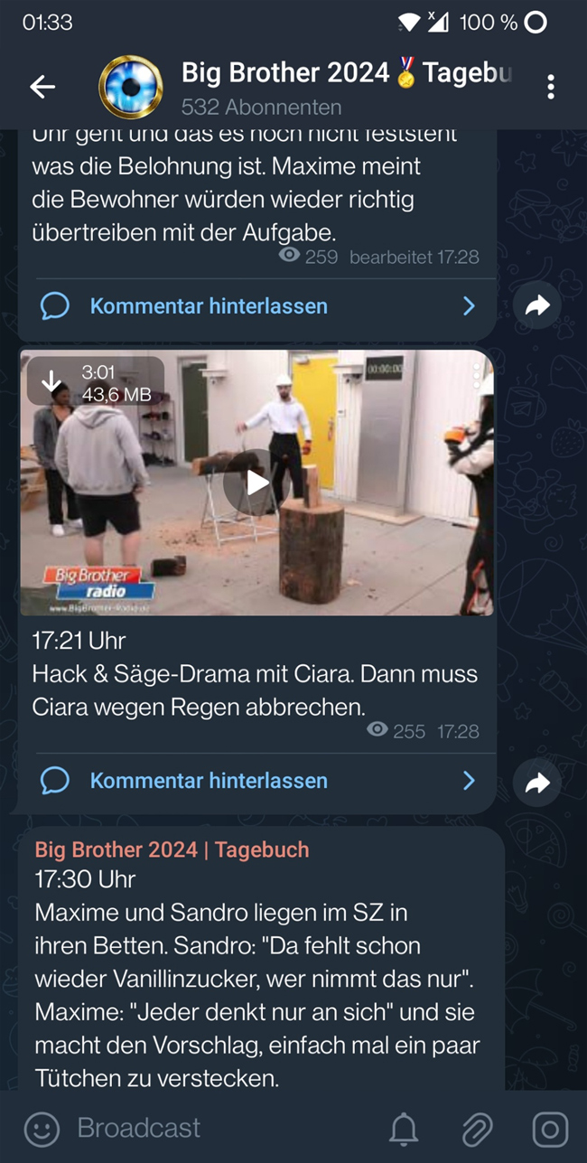 Big Brother Tagebuch Premium Live Videos